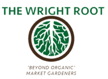 The Wright Root