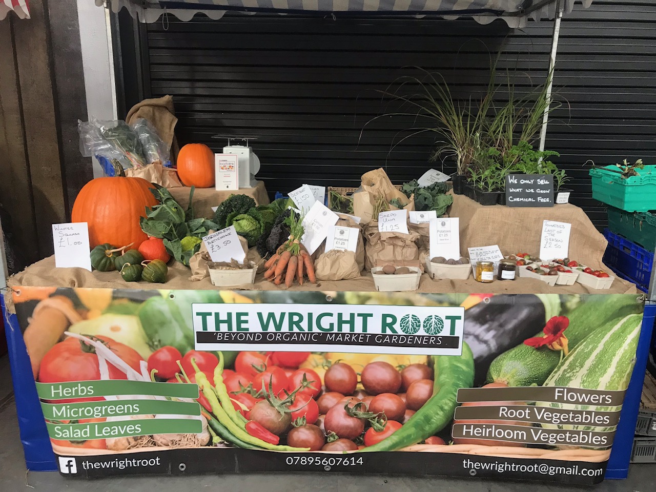 The Wright Root