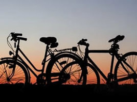 Bike Shops