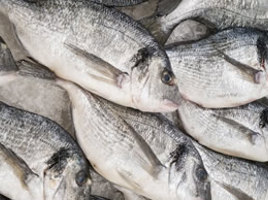 Fishmongers